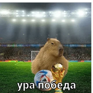 🏆 emoji капи Telegram sticker 7 of 41