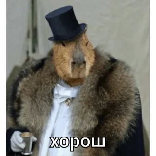 👍 emoji капи Telegram sticker 10 of 41