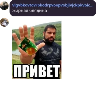🛰️ emoji Мост в Боровичах pack by @QuotLyBot Telegram sticker 7 of 120