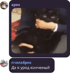 👃 emoji Мост в Боровичах pack by @QuotLyBot Telegram sticker 21 of 120