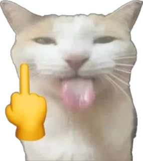 🖕 emoji 💋💋💋💋 Telegram sticker 21 of 46