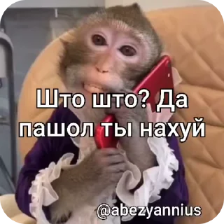 🐵 emoji 🐵obezanki bibizanki 🐵 Telegram sticker 18 of 34