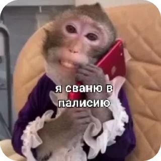 🐵 emoji 🐵obezanki bibizanki 🐵 Telegram sticker 16 of 34