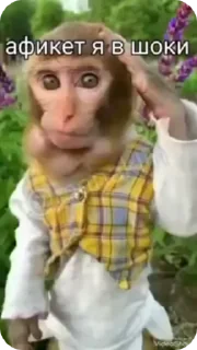 🌟 emoji 🐵obezanki bibizanki 🐵 Telegram sticker 23 of 34