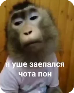🌟 emoji 🐵obezanki bibizanki 🐵 Telegram sticker 5 of 34