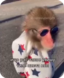 🌟 emoji 🐵obezanki bibizanki 🐵 Telegram sticker 21 of 34