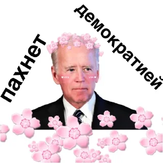😂 emoji Демократия OND @Ctikerubot Telegram sticker 2 of 41