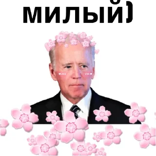 😂 emoji Демократия OND @Ctikerubot Telegram sticker 1 of 41