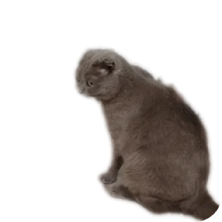 Sticker from StikerKit