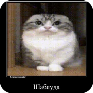🔳 emoji Марьям моя жена Telegram sticker 6 of 46