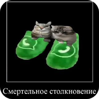 🐱 emoji Марьям моя жена Telegram sticker 18 of 46