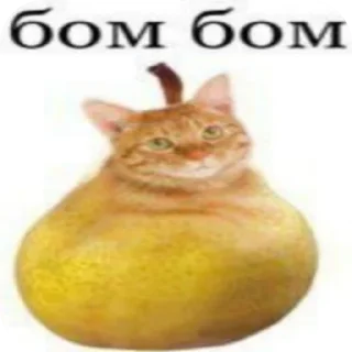 🐱 emoji Марьям моя жена Telegram sticker 9 of 46