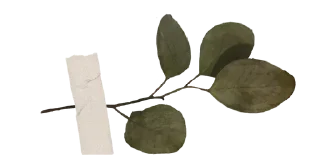 Sticker from тг-канал: @tteploshko