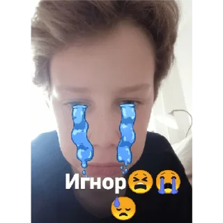 😭 emoji Ну типа хз пон лют Telegram sticker 21 of 66