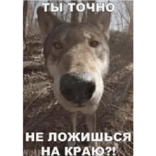 👺 emoji Ну типа хз пон лют Telegram sticker 5 of 66