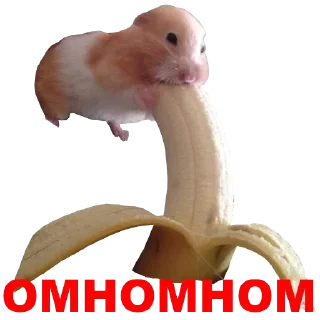 🤭 emoji Mi Telegram sticker 14 of 53