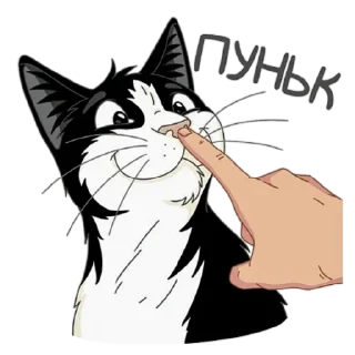 😽 emoji Mi Telegram sticker 6 of 53