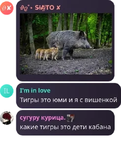 🤞 emoji вы сосете у Ю Бина pack by @QuotLyBot Telegram sticker 13 of 120