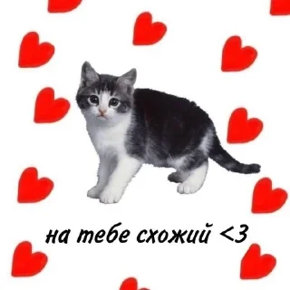 Sticker from Кицацица