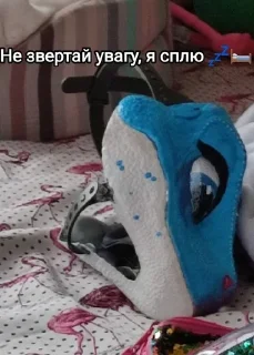 💤 emoji Фурька і раптор😁 Telegram sticker 13 of 23