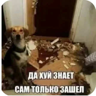 Sticker from Лучшие