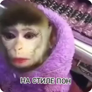 Sticker from Monkey пон