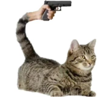 🔫 emoji Лучшое Telegram sticker 22 of 78