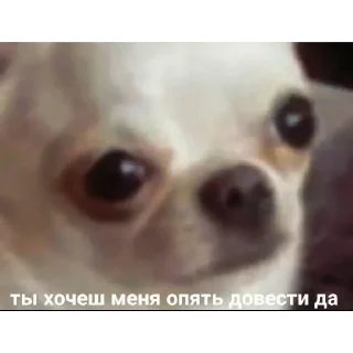 😒 emoji Лучшое Telegram sticker 14 of 78
