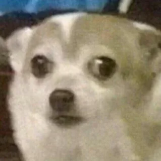 😶 emoji Лучшое Telegram sticker 20 of 78