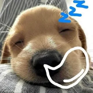 💤 emoji mili @huysor1 Telegram sticker 6 of 56