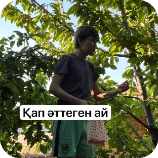 Sticker from Али