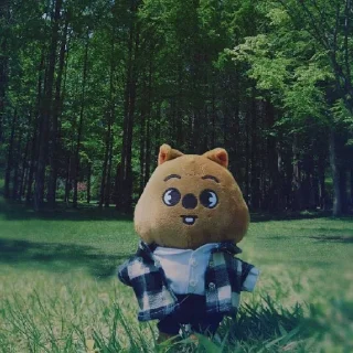 🌳 emoji Han Quokka StrayKids @FELIXQKK Telegram sticker 7 of 60