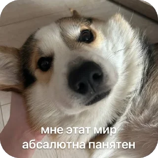 🫥 emoji барон фон де гарри@hjkufhi Telegram sticker 20 of 54