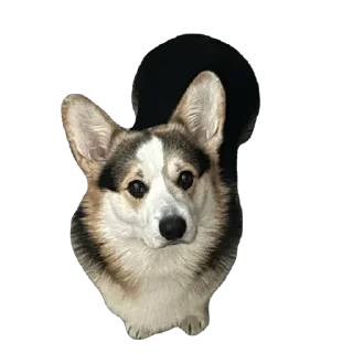 🫥 emoji барон фон де гарри@hjkufhi Telegram sticker 10 of 54