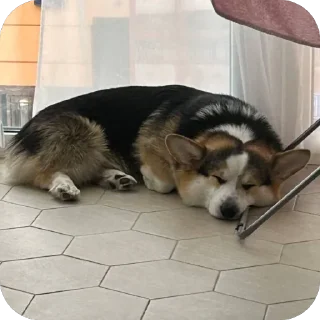 🫥 emoji барон фон де гарри@hjkufhi Telegram sticker 6 of 54