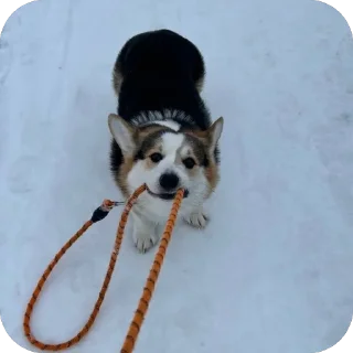 🫥 emoji барон фон де гарри@hjkufhi Telegram sticker 11 of 54