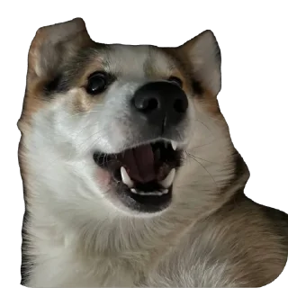 🫥 emoji барон фон де гарри@hjkufhi Telegram sticker 19 of 54