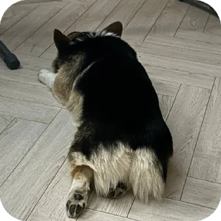 🫥 emoji барон фон де гарри@hjkufhi Telegram sticker 14 of 54