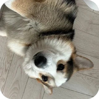 🫥 emoji барон фон де гарри@hjkufhi Telegram sticker 7 of 54