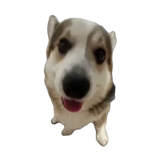 🫥 emoji барон фон де гарри@hjkufhi Telegram sticker 3 of 54