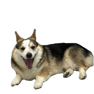 🫥 emoji барон фон де гарри@hjkufhi Telegram sticker 5 of 54