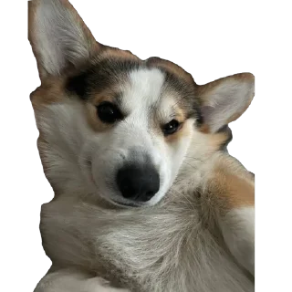 🫥 emoji барон фон де гарри@hjkufhi Telegram sticker 12 of 54