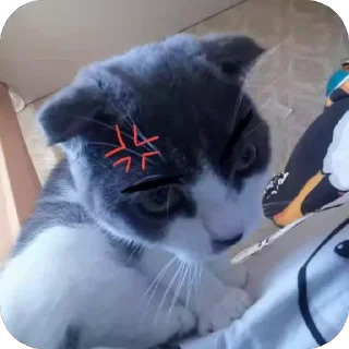 Sticker from аааааа