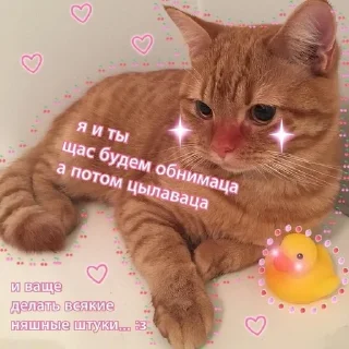 ❤ emoji Милота Telegram sticker 16 of 35