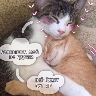 🥺 emoji Милота Telegram sticker 23 of 35