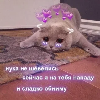 ❤ emoji Милота Telegram sticker 14 of 35