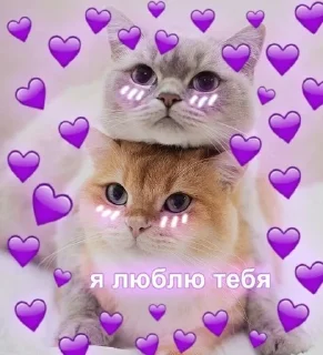 ❤ emoji Милота Telegram sticker 13 of 35