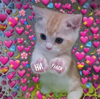 😢 emoji Милота Telegram sticker 7 of 35
