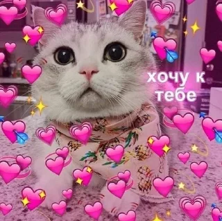 🥰 emoji Милота Telegram sticker 8 of 35