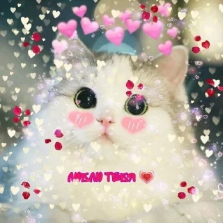 ❤ emoji Милота Telegram sticker 17 of 35